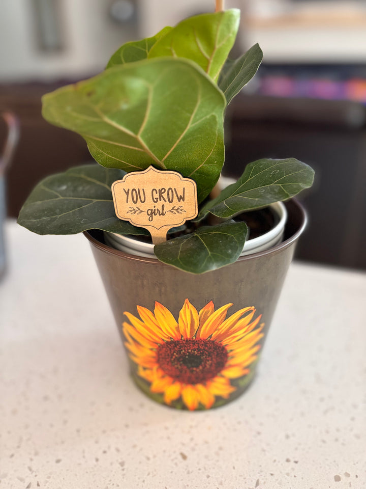 FUNNY PLANT STAKES