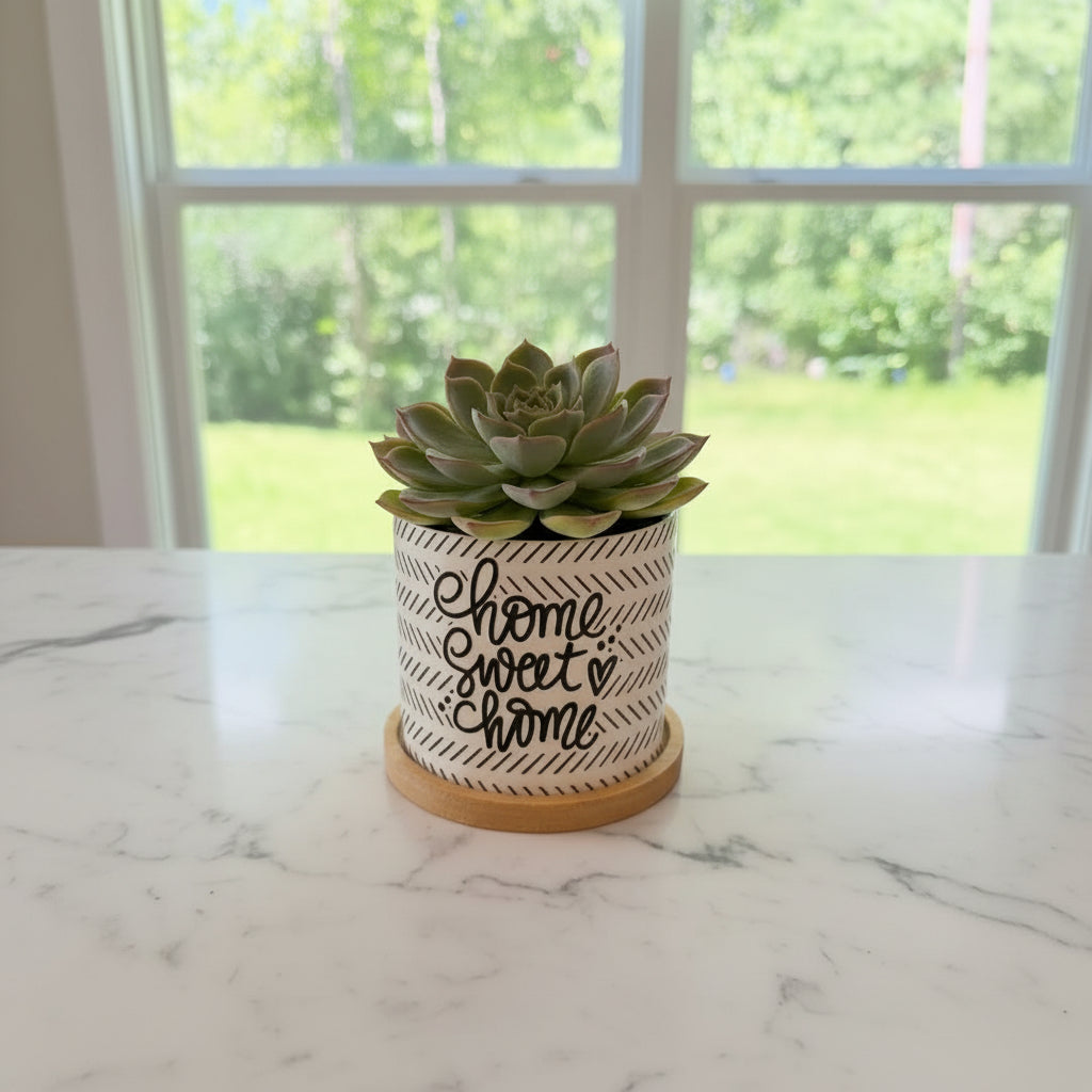 Housewarming Gift First Home New Homeowner Realtor Closing Gift House Warming Planter new home First Home Moving Away (Copy)