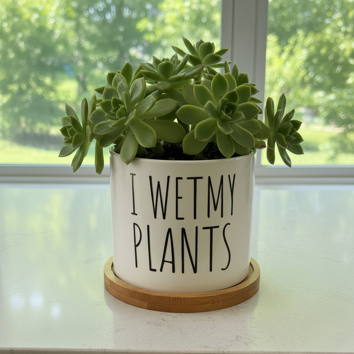 Housewarming Gift First Home New Homeowner Realtor Closing Gift House Warming Planter new home First Home Moving Away
